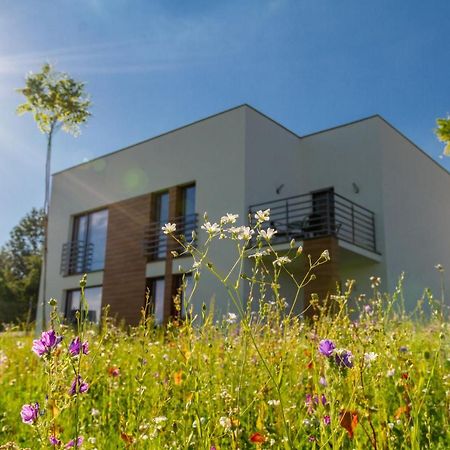 Apartamento Trzy Male Drzewka Wielka Wies  Exterior foto